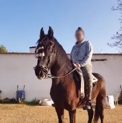 Milica, 31